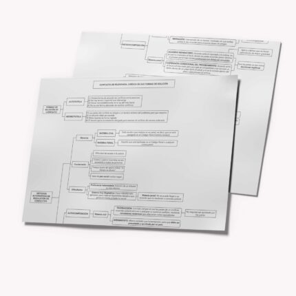 Esquemas de Derecho Procesal Orgánico