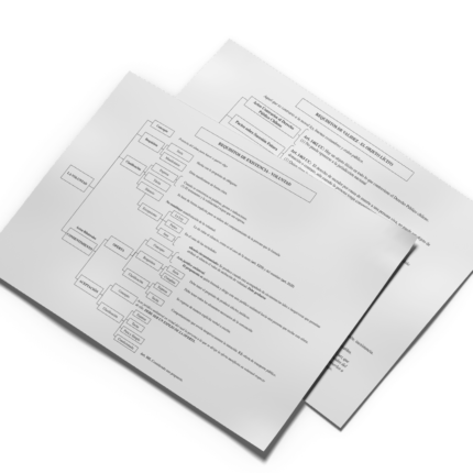 Resumen Esquema Acto Jurídico