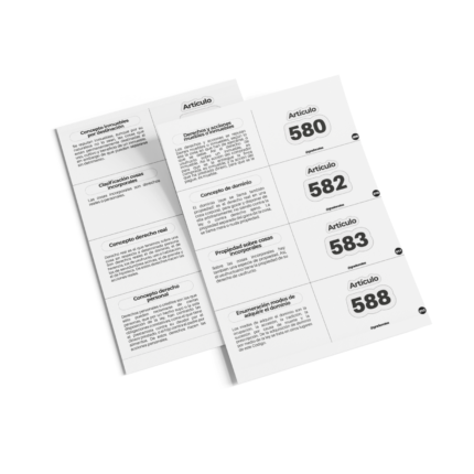 Flashcards Artículos Bienes (Formato Digital)
